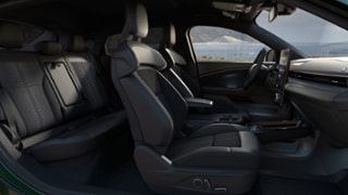 2025 Ford Mustang Mach-E® Internal Image 1